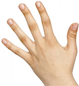 5 Fingers